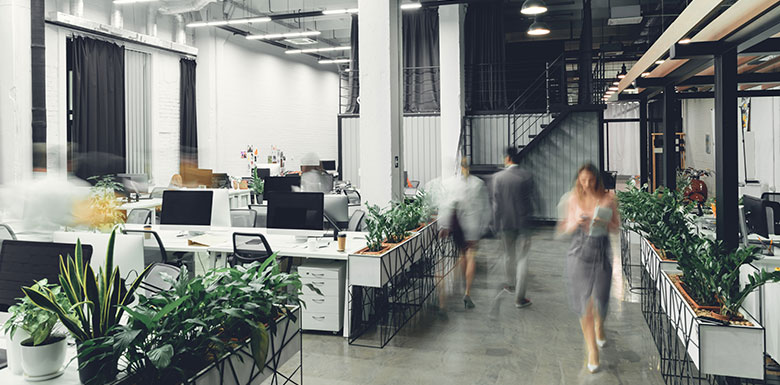 Law Offices Cleaning and Janitorial Services Greater Puget Sound