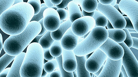 What You Need To Know About Cleaning with Bleach