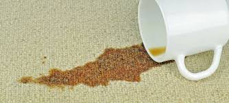  Commercial Carpet Cleaning Service -Greater Puget Sound
