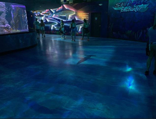 Theme Parks Floor Coating Services