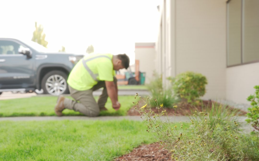 All the Exterior Property Cleaning Services You Need—Under One Roof